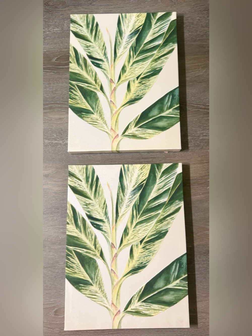 Botanical Leaf Canvas Prints , Set of 2 (12”x 19”)